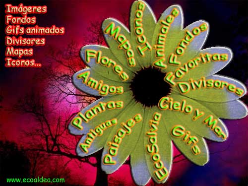 Haz clic sobre el p�talo de la galer�a que deseas ver