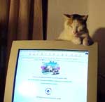 Pulsa para ampliar foto