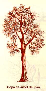 arepan4.jpg (14689 bytes)